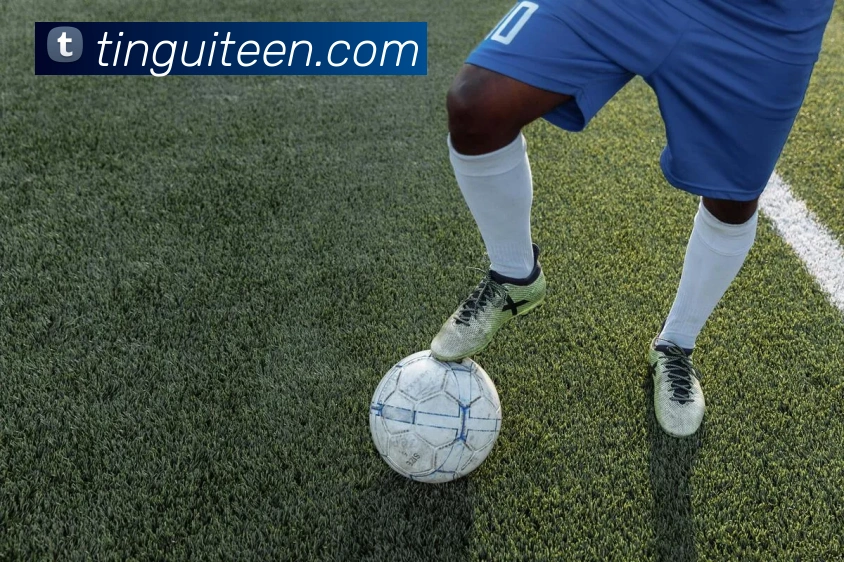 aoa网页版入口平台生态图